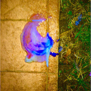 Meet your Posher, Zeeve